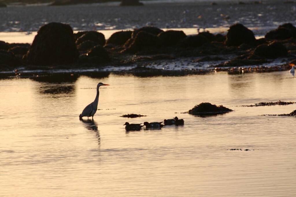 Апартаменты Curlews Rest - Gateway To The Aran Islands Голуэй Экстерьер фото